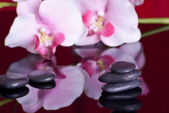 massage, stones, reflection, orchid, recreation, relaxation, healing stones, spiritual, relaxing massage, hot stone, round, wellness, wellness massage, hot stones, massage, orchid, orchid, orchid, orchid, orchid, spiritual, hot stone, hot stone, hot stone, hot stone, hot stone, wellness, wellness, wellness, hot stones, hot stones. Massage therapy referrals: the habits that generate them